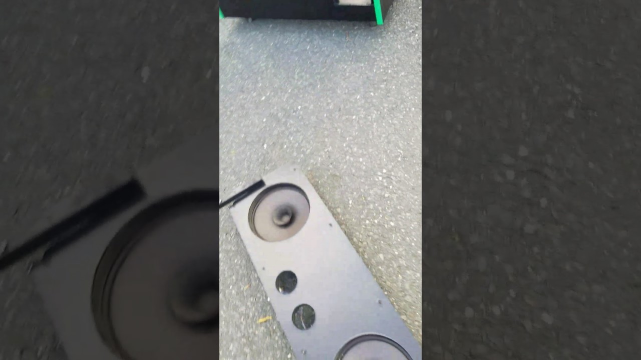 Dragon's Lair II speaker panel