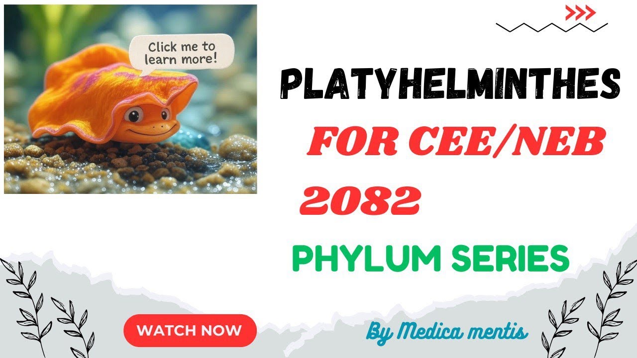 Platyhelminthes for CEE 2082 by medica mentis