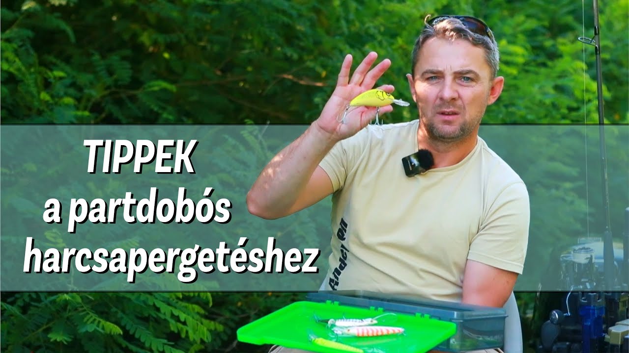 Tippek a partdobós harcsapergetéshez