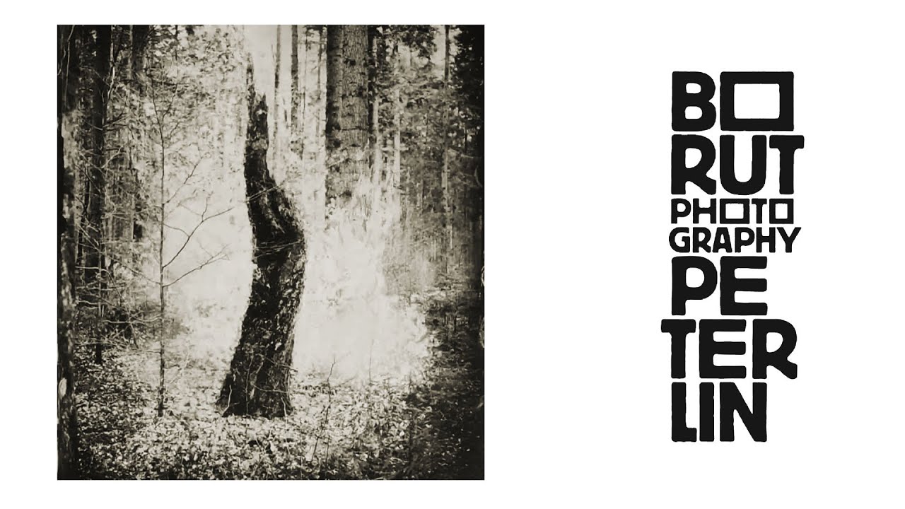 Vantage point in photography - wet plate collodion negative and salt print process