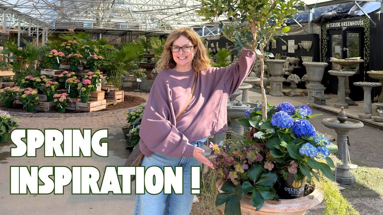В Чарльстоне наступила весна 🌸 Вдохновение для южного сада и покупки растений | Первый весенний к...