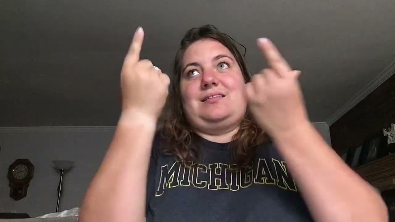 I Lived (One Republic) ASL cover