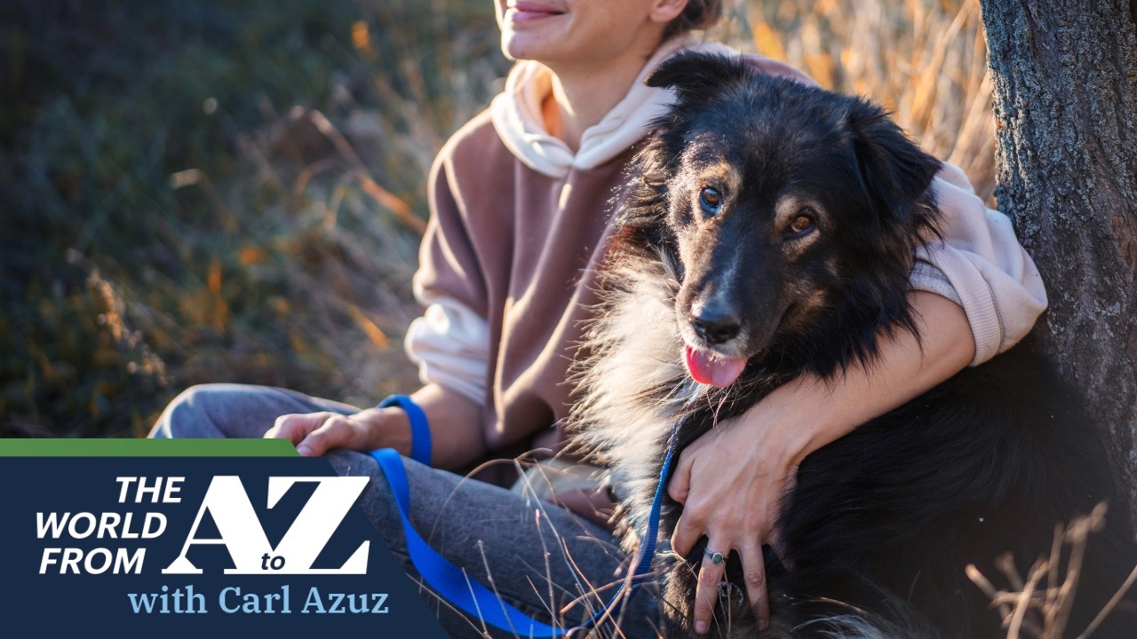 Does Owning a Dog Improve Teens' Mental Health?
