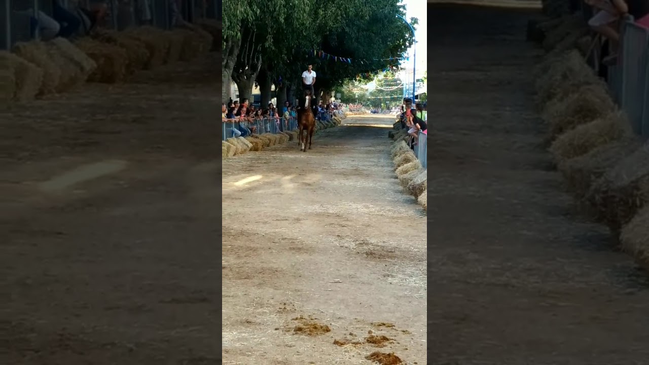 PARIGLIE DORGALESI