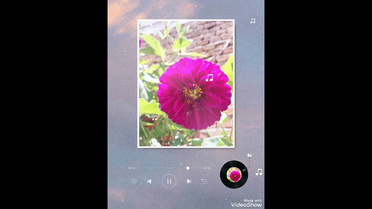 🌻 HARMONIZAÇÃO DOS CHAKRAS E ATIVAÇÃO DA CHAMA VIOLETA 🔮