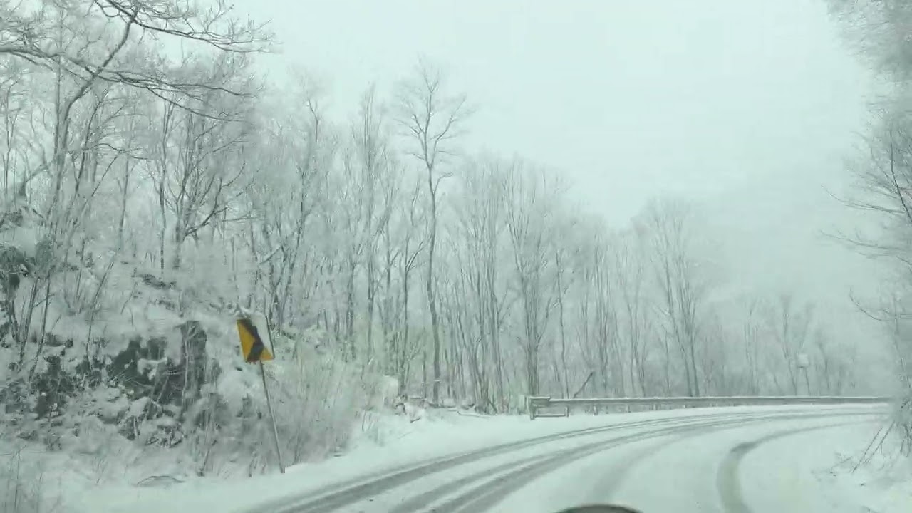 Roan Mountain / Carvers Gap TN Snow ❄️ - 02/23/2026