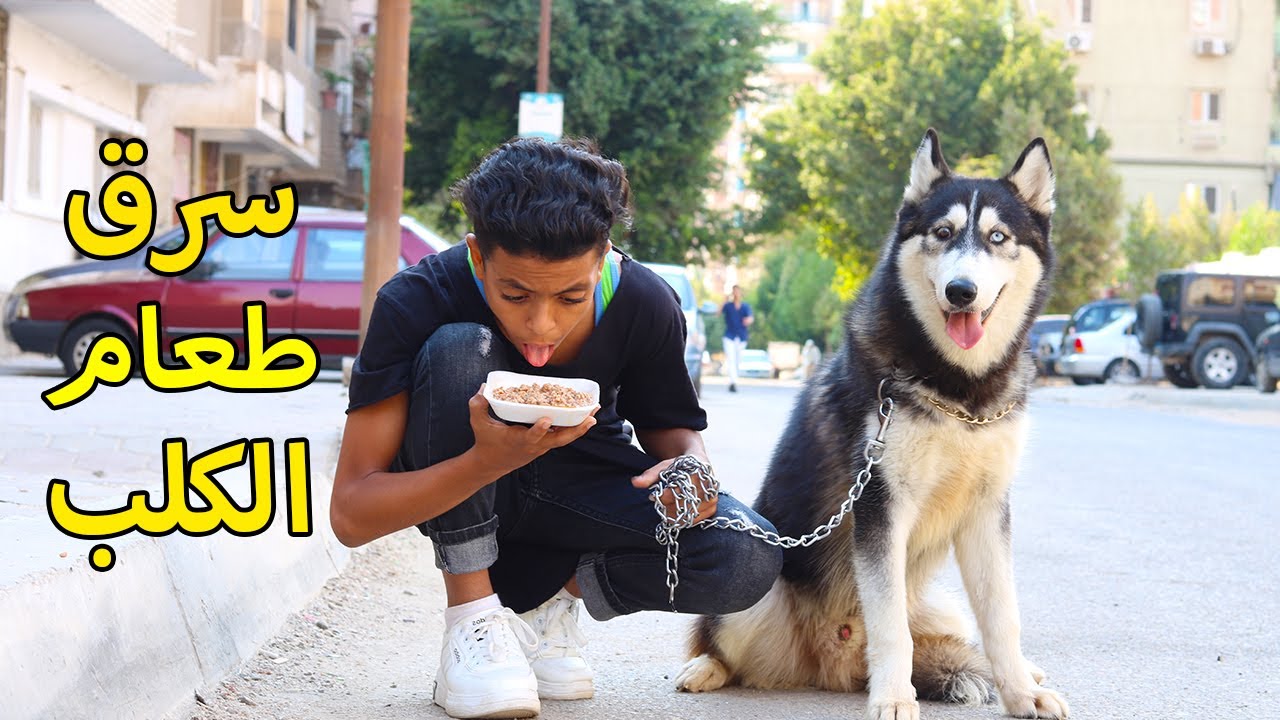 ولد يــسرق طعام كــلب شــرس .. فماذا فعل صاحب الكلب ؟