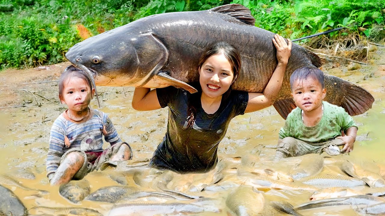 Harvesting Giant Fish Pond Full of Carp and Catfish - Bring them to Market to Sell with My Daughter