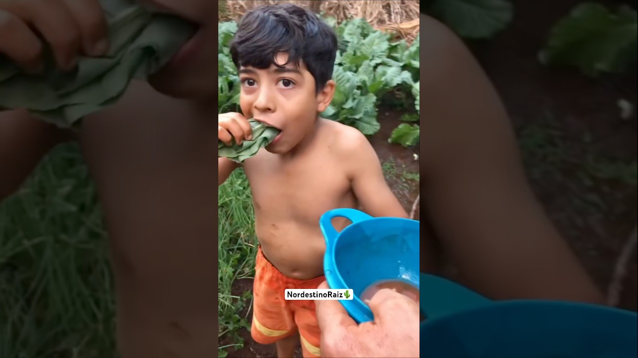 Leve sua fam&iacute;lia pra morar no campo, na paz da natureza, uma vida simples assim n&atilde;o tem pre&ccedil;o🌵