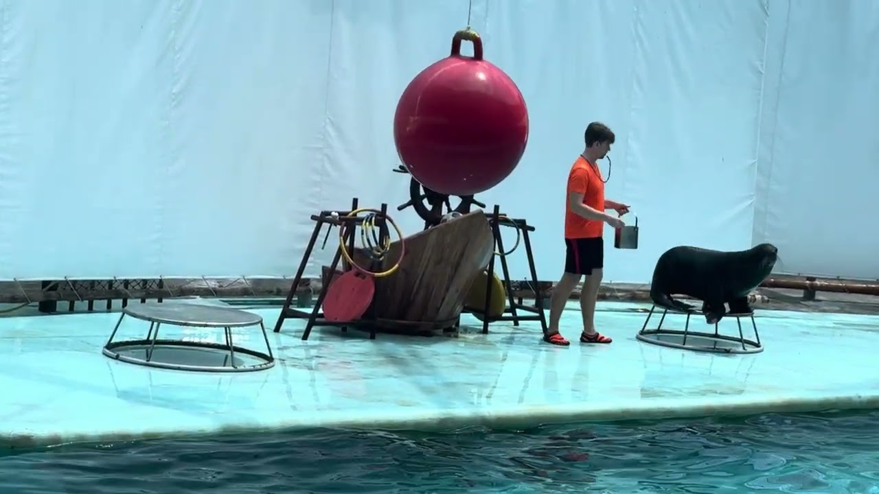 ngày 10 tháng 3, 2026