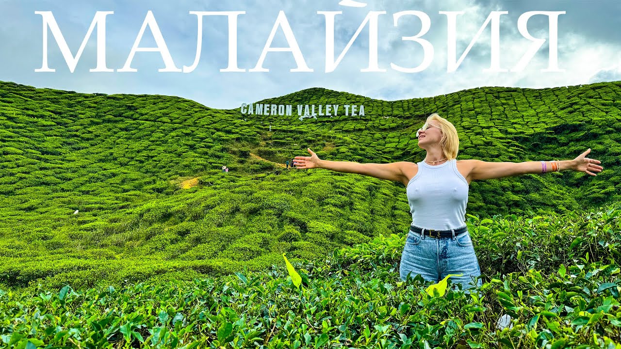 Чайные плантации в Малайзии лучше, чем на Шри-Ланке!