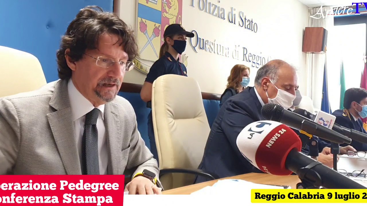 Operazione “Pedigree” . Ndrangheta,  Reggio Calabria 12 arresti. La conferenza stampa, i nomi e ...