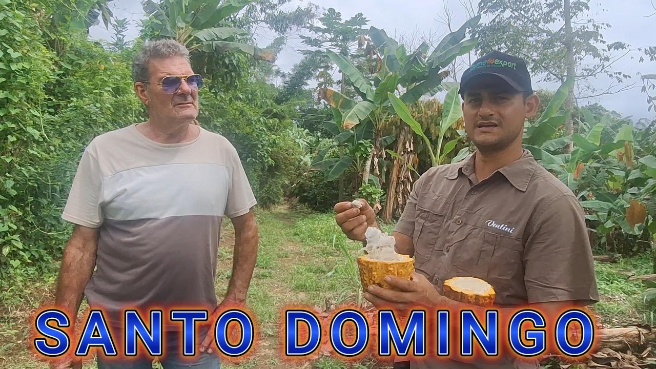 SANTO DOMINGO