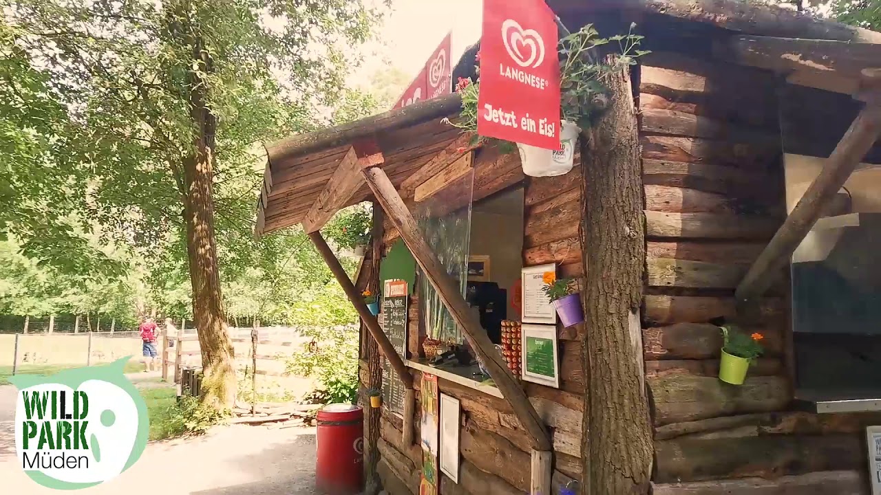 Chef-Rundfahrt durch den Wildpark Müden