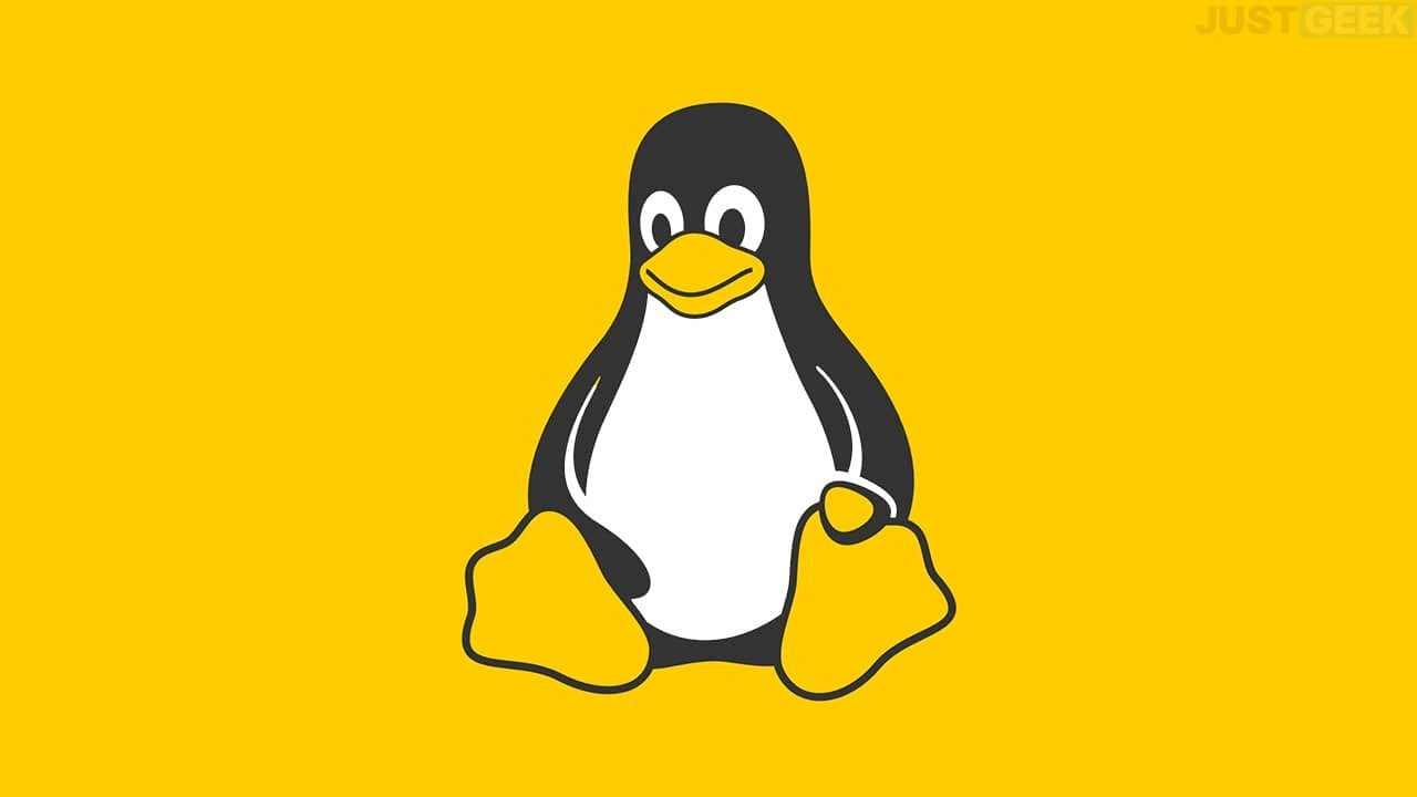Linux pour D&eacute;butants : la distribution la plus simple et facile &agrave; utiliser ?