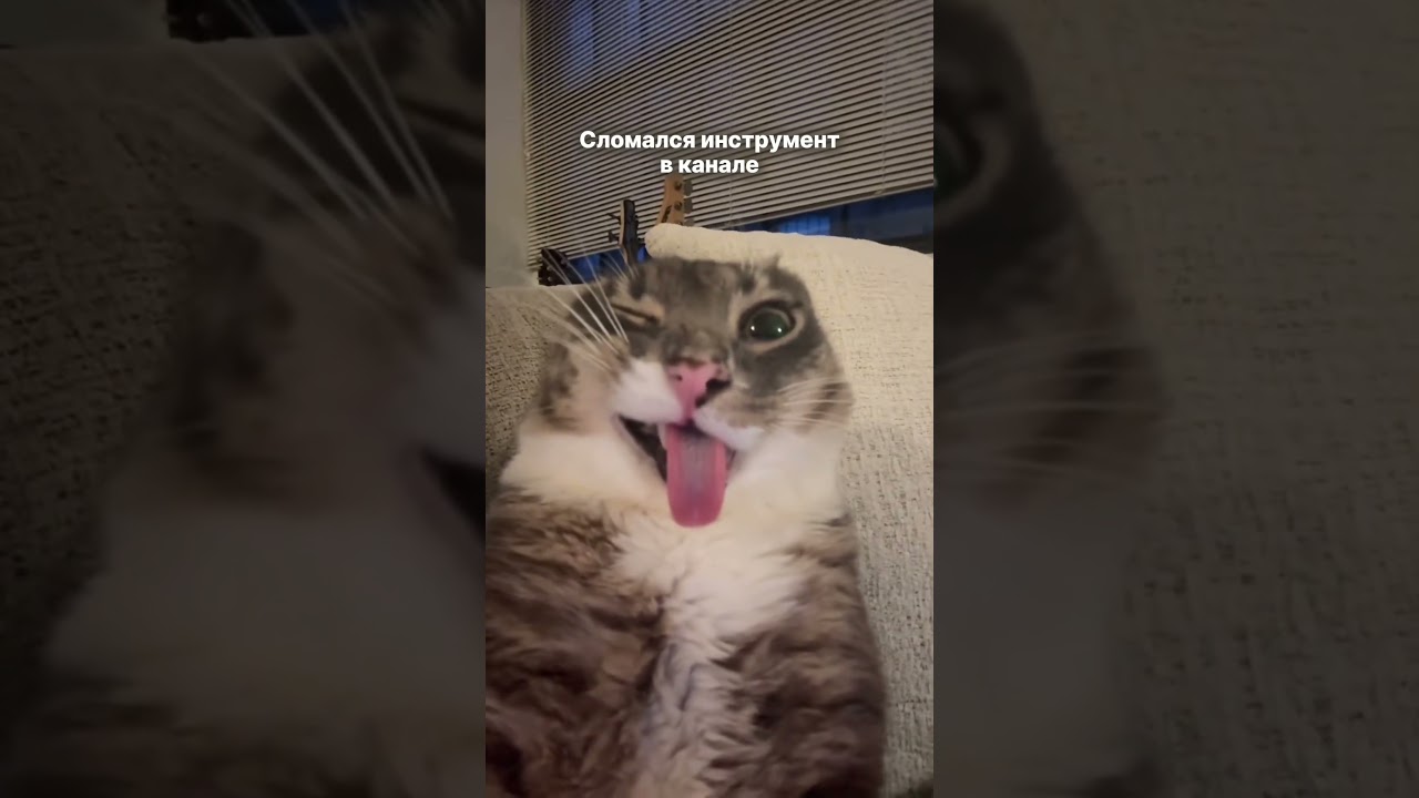 Пишите в комментариях , сталкивались ли вы с тем, что инструмент застревал в канале 👇🏻