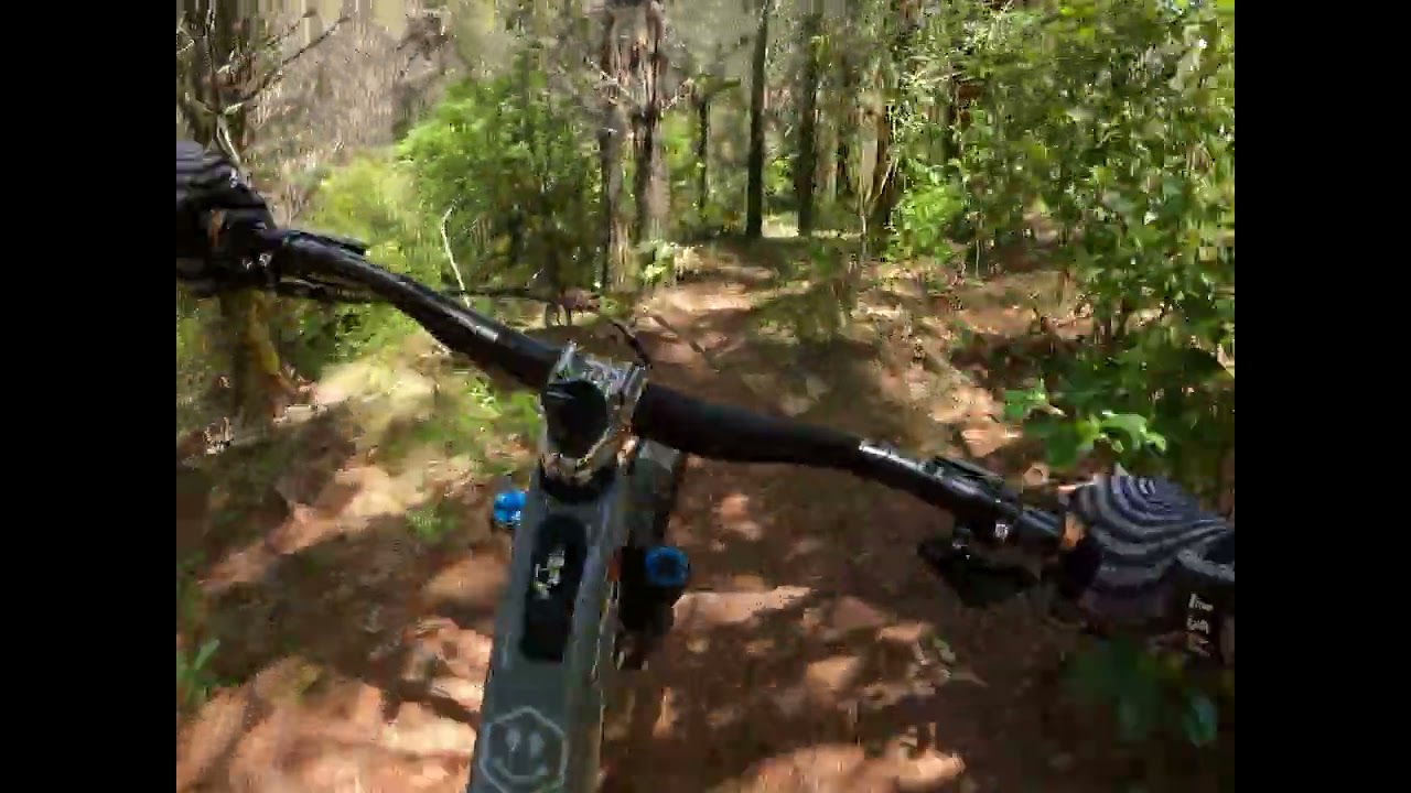 Whitehills Kerikeri MTB Club, Antiloam, Grade Three