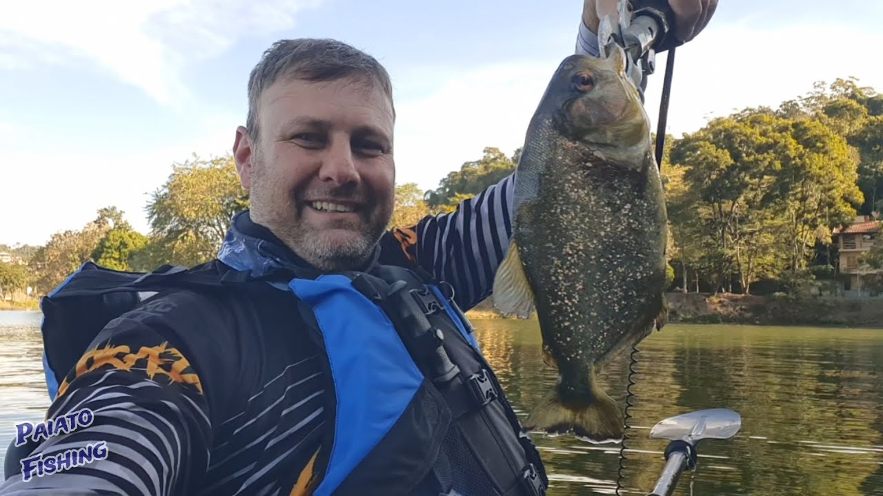 AS PIRANHAS APARECERAM, É UMA ATRÁS DA OUTRA.