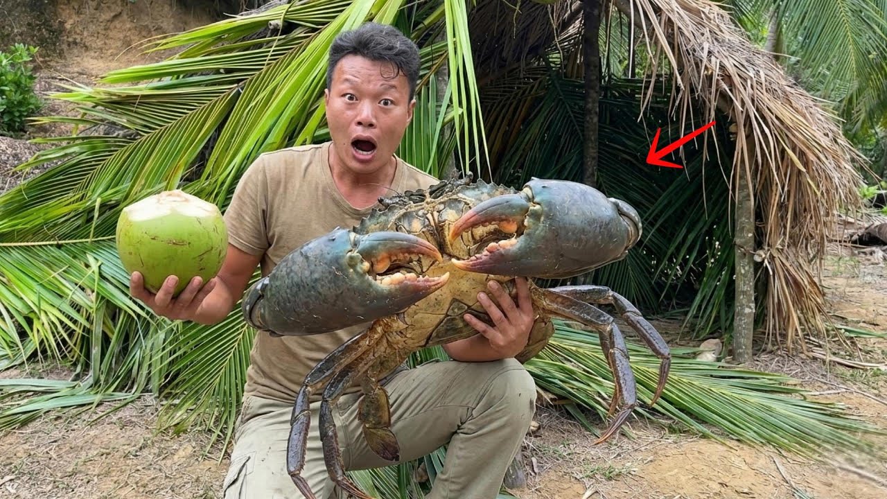 Thử Thách Sinh Tồn Trên Đảo Hoang - Chế Bẫy Cá Và Dựng Lều Nhịn Đói Suýt Bỏ Cuộc