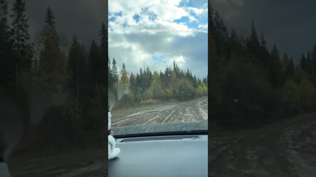 Надо попасть в колею #дорогироссии #архангельскаяобласть #automobile #бездорожье #глина #toyota