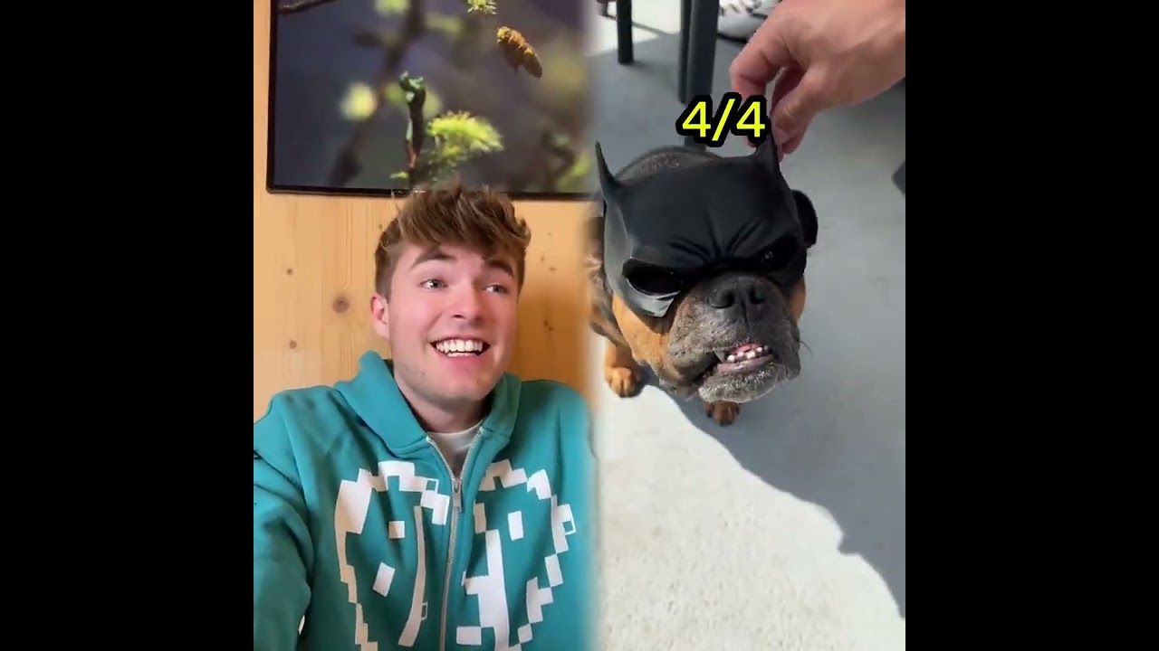 🤣👌👌👌2026 pov Must-Watch Crazy Clips Compilation #humor #fypシ #pov #fyp #foryou #funny 😍😜