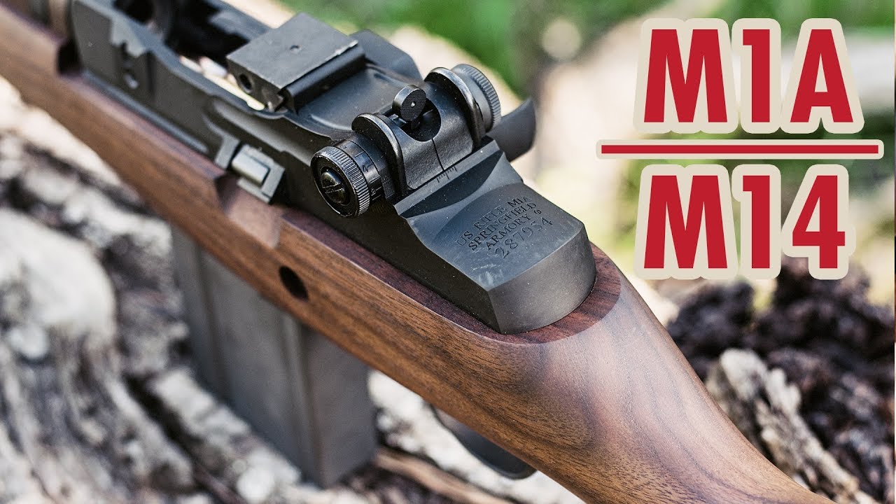 Introducing the Springfield M1A (M14) - Backyard Battlefield | RangerDave