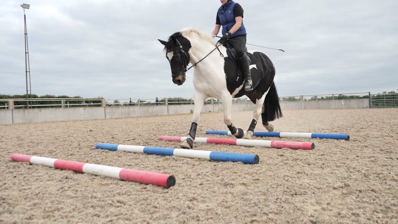 Tri-Zone Brushing Boots