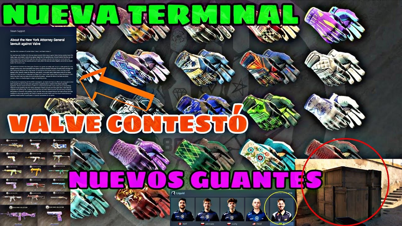NUEVA TERMINAL ✨ VALVE CONTESTÓ 📝 NUEVOS GUANTES 🧤 CAJA DE DUST2? 🤔