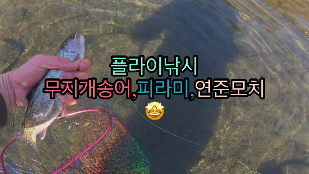 플라이낚시 계류 무지개송어