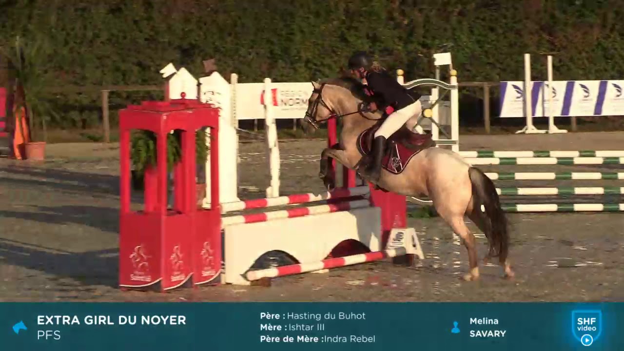EXTRA GIRL DU NOYER - CCJP 4 ans C - CIR J2