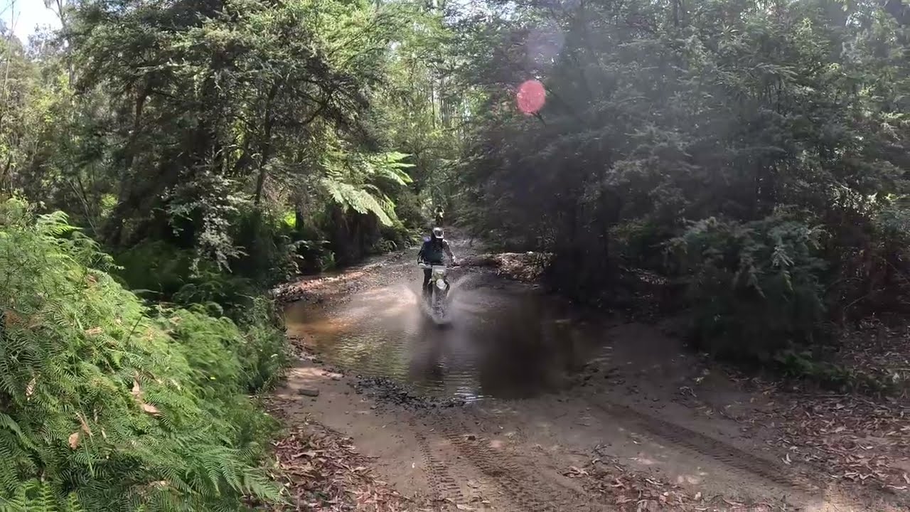 Ordinary Enduro II: Toolangi - DR Redemption
