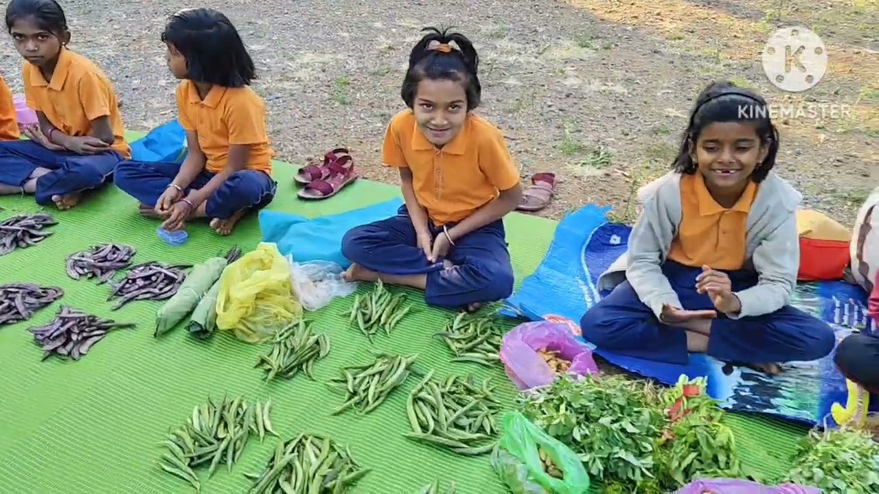जिल्हा परिषद प्राथमिक शाळा निंब्रळ येथे बाल आनंद मेळावा उत्साहात संपन्न 💐💐