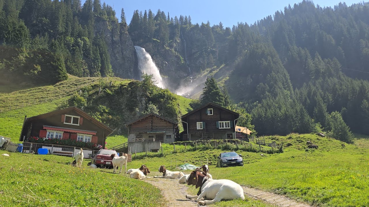Swiss Village Life is the Best Life