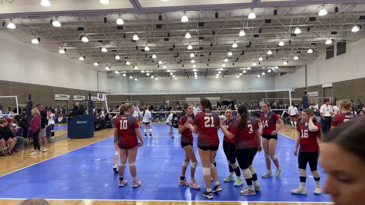 BAVC 16’s Vs Ozark 16s