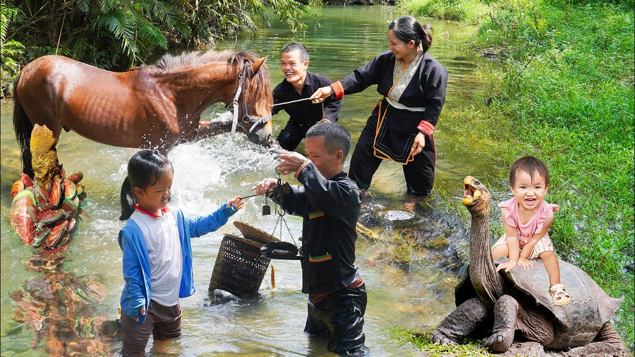 Dwarf Family Catches Mussels, Builds a Stove & Rescues a Dog Crush by a Tree the Forest | Full Video