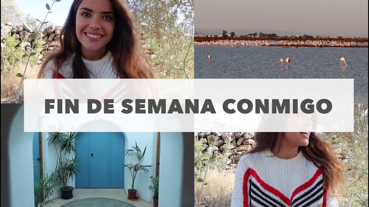 Delta del Ebro - Dónde Observar Flamencos? - Turismo Sostenible