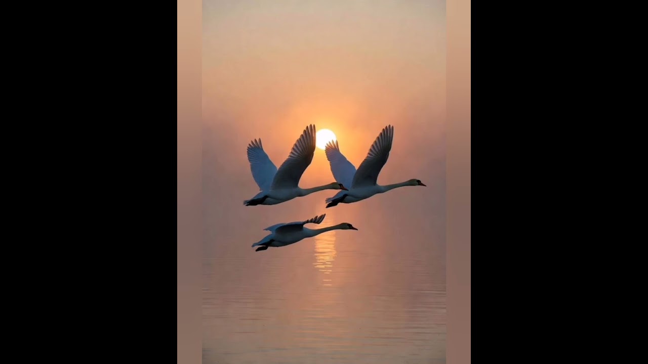 الشمس الى الحمل والاعتدال الربيعي في يوم عيد الفطر 20/3/2026
