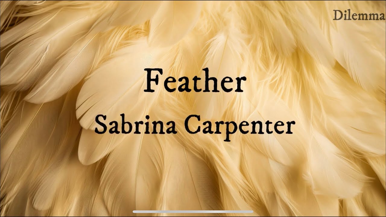 Feather - Sabrina Carpenter (Lyrics with Myanmar Subtitle)