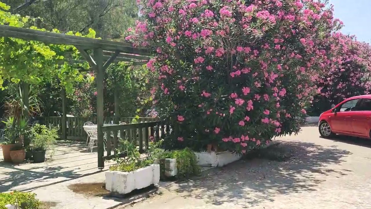 İzmir | Selçuk | Dereli Motel Ve Kamping