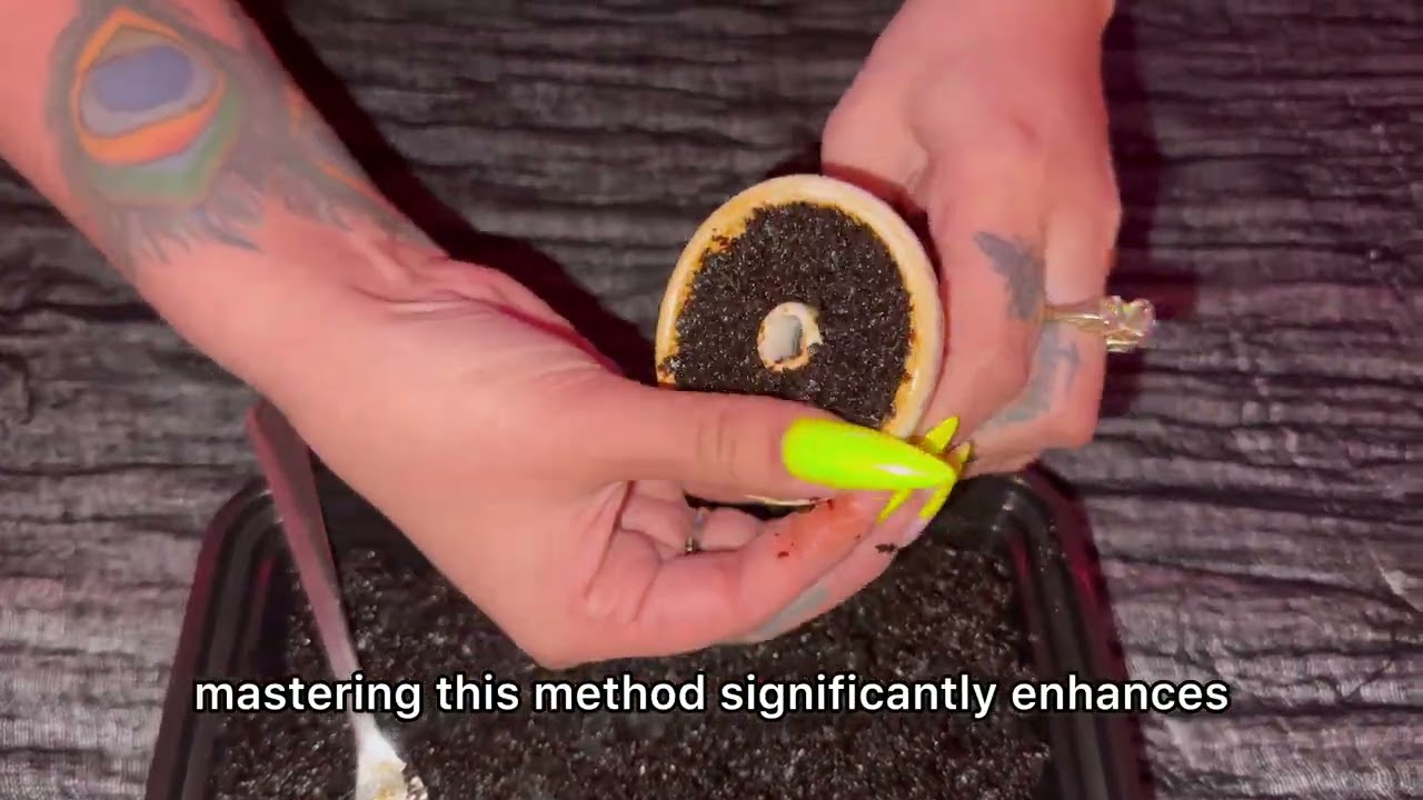 Tangiers Hookah Tobacco | In depth guide to Tangiers