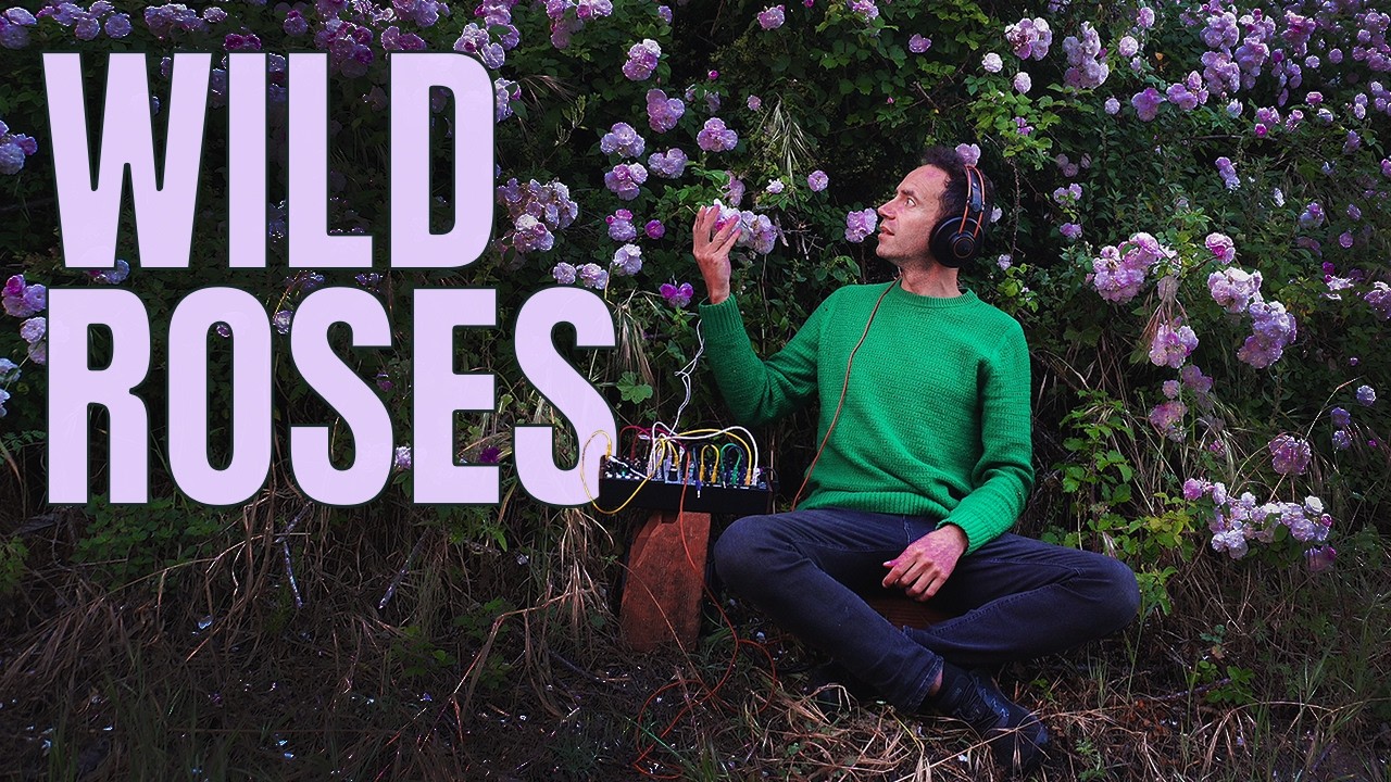 Listening to Wild Roses | Living Plant Sound for the Nervous System 🌹