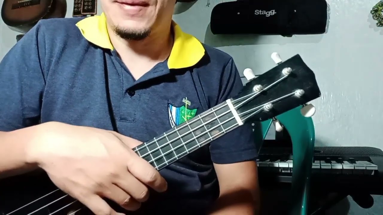 El señor don gato - ukelele