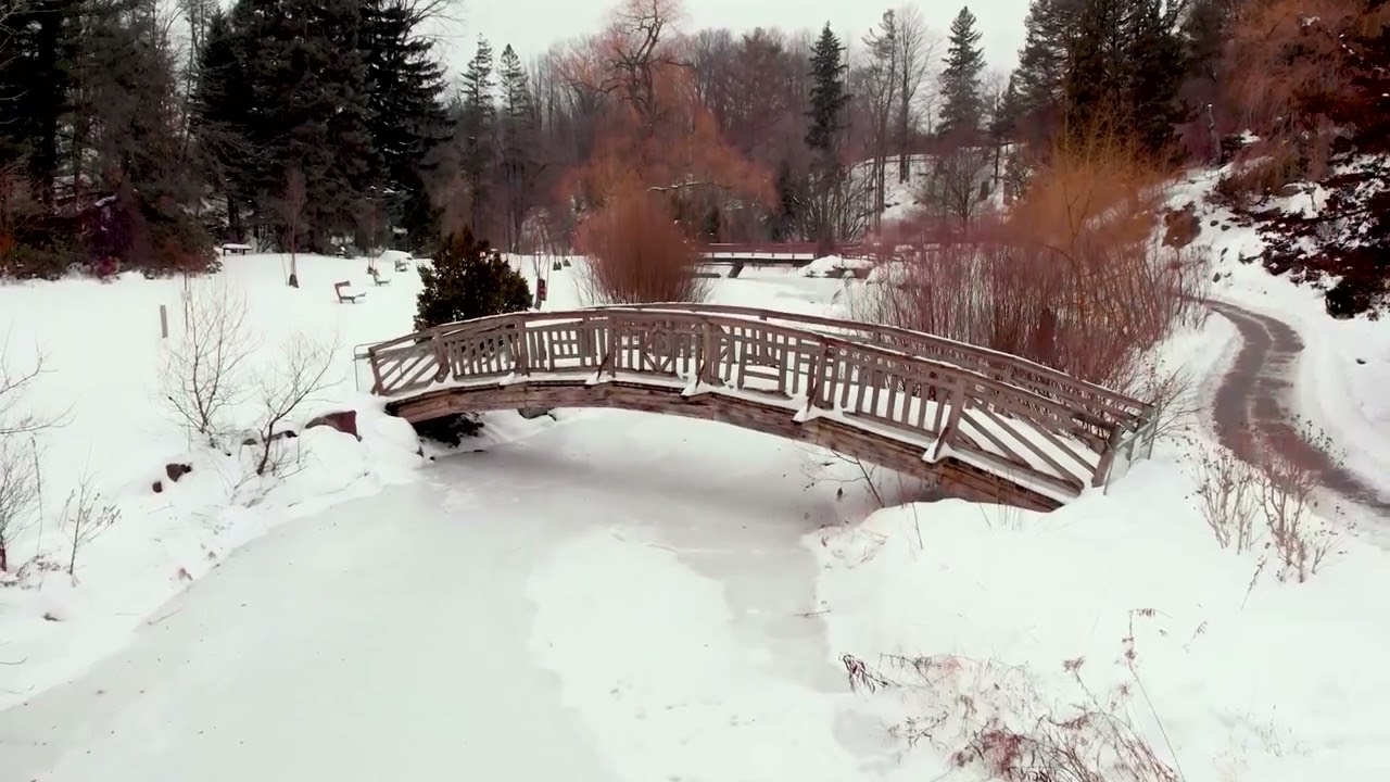 Deep Serene Seasonal Music ⛄ Frigid Blizzard 🔊 1 Hour ✨ Ample Ambience