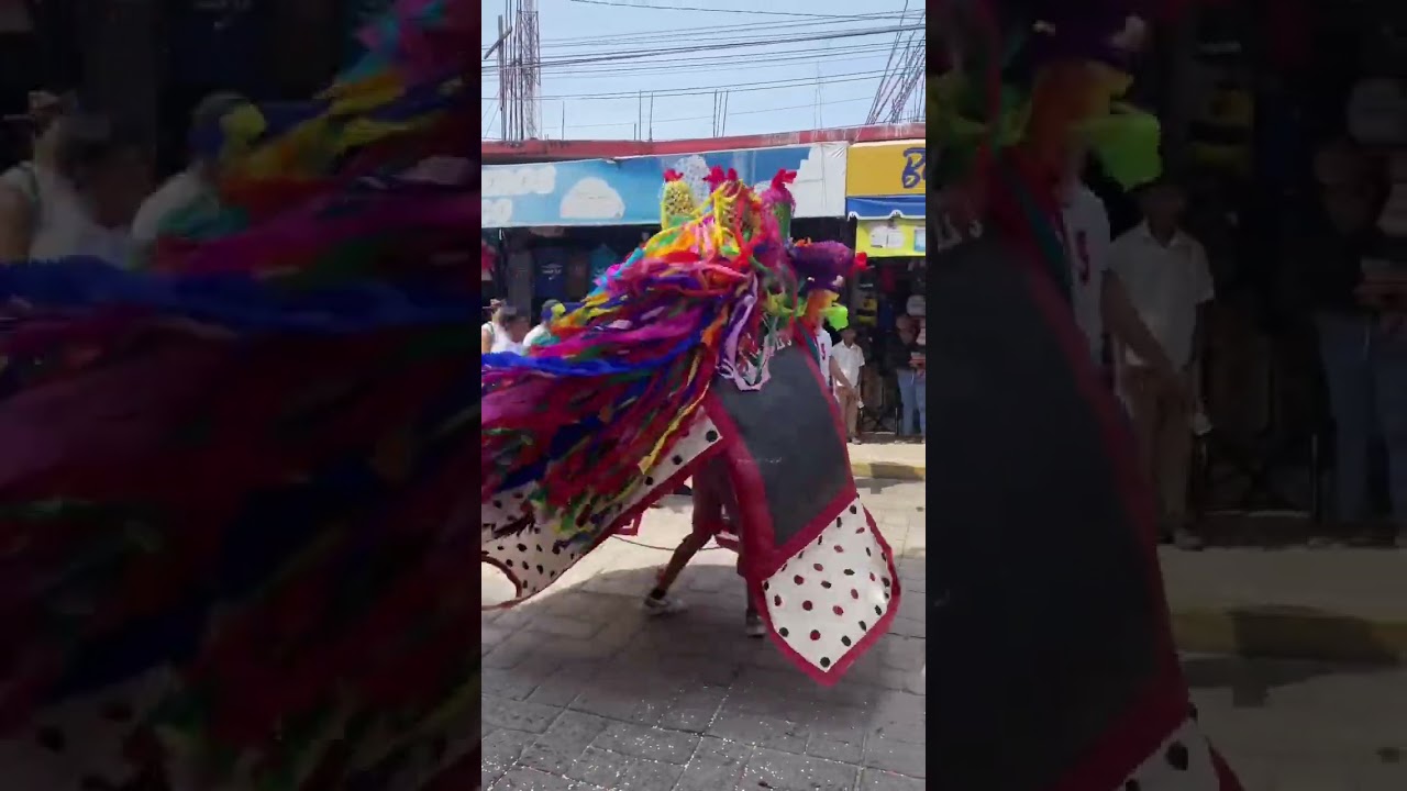 Toro de petate #ometepec #shorts #viralshorts #carnaval #fiesta #ometepecguerrero #keniaos