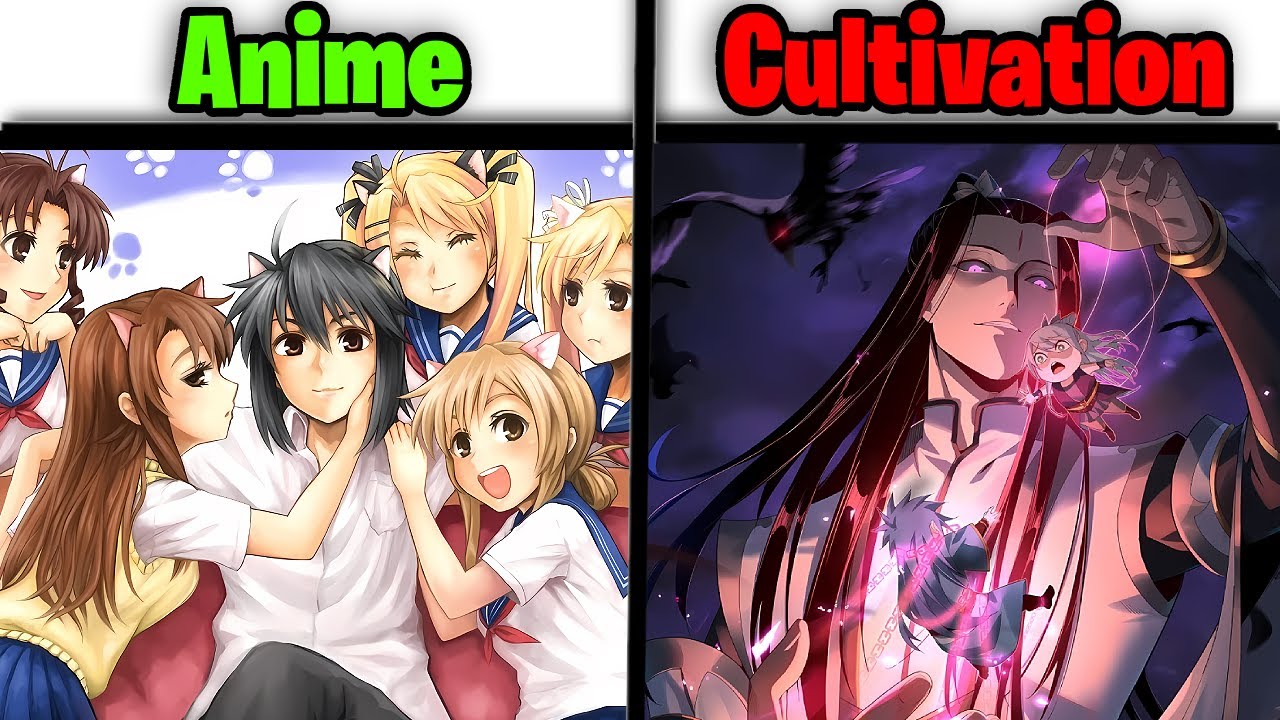 Anime Tropes VS Cultivation Tropes