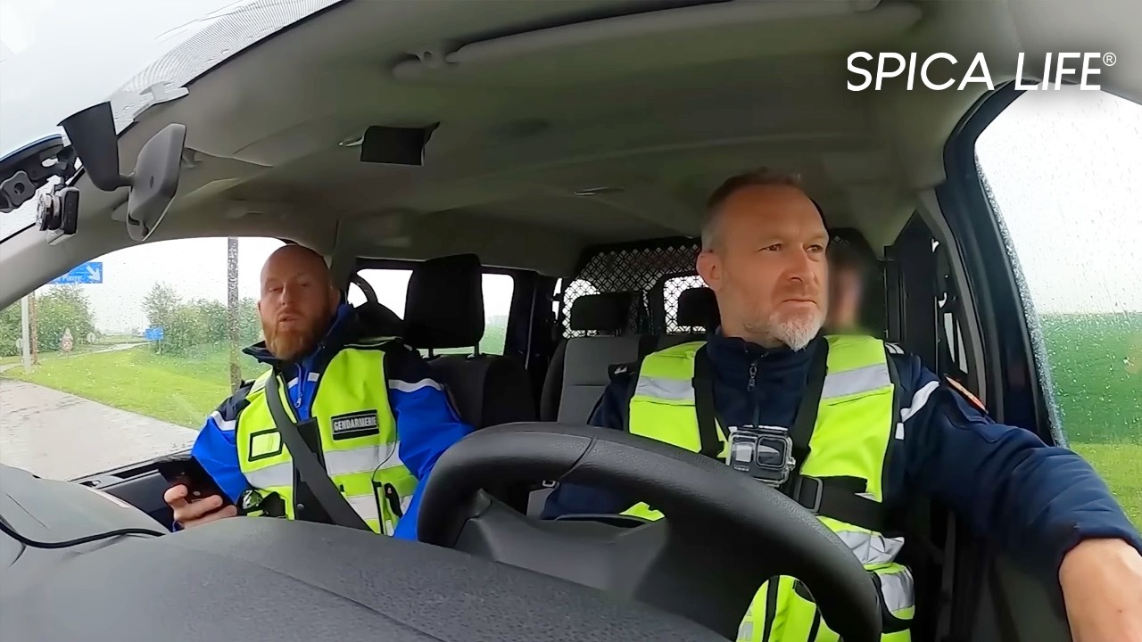 Gendarmerie nationale : en alerte face aux mordus de vitesse