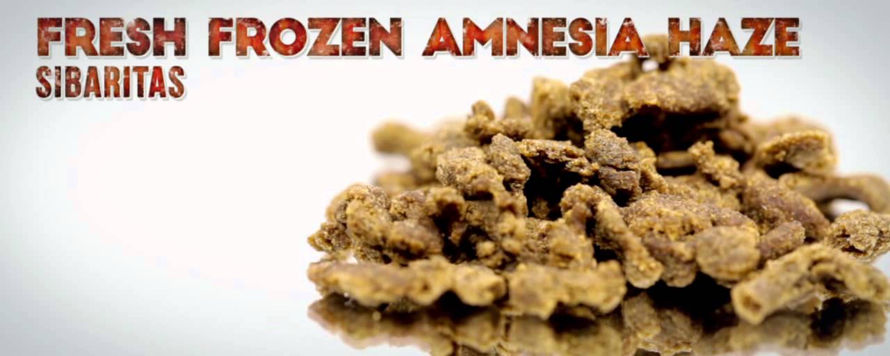 Social Clubs Cannabis Cup 2016 | Hash