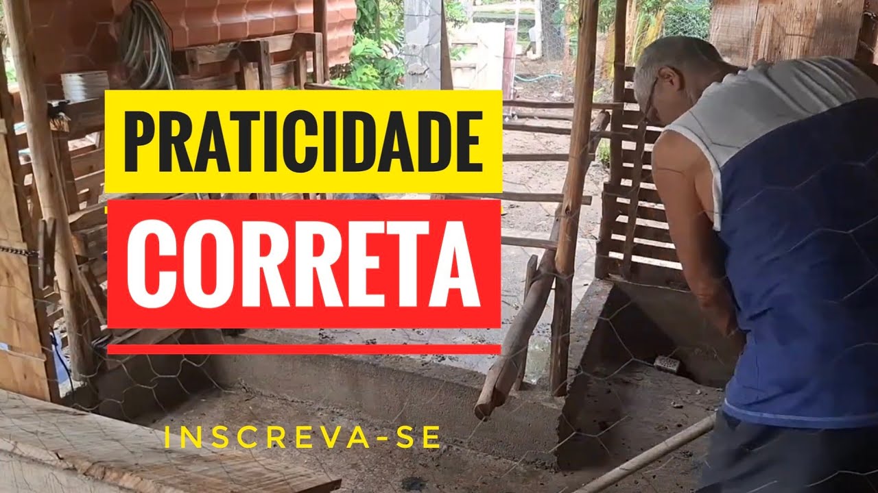 Jeito Prático e Correto de Tratar Suas Aves no Dia a Dia 🐔✅