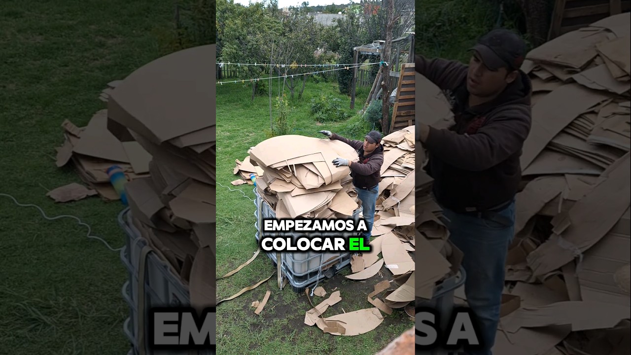 Como hacer Negocio con el CARTON