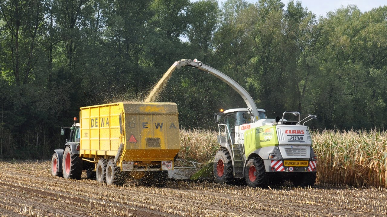 Claas Jaguar 970 Dynamic Power - Peltijn Agri - mais 2013
